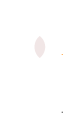 servizi